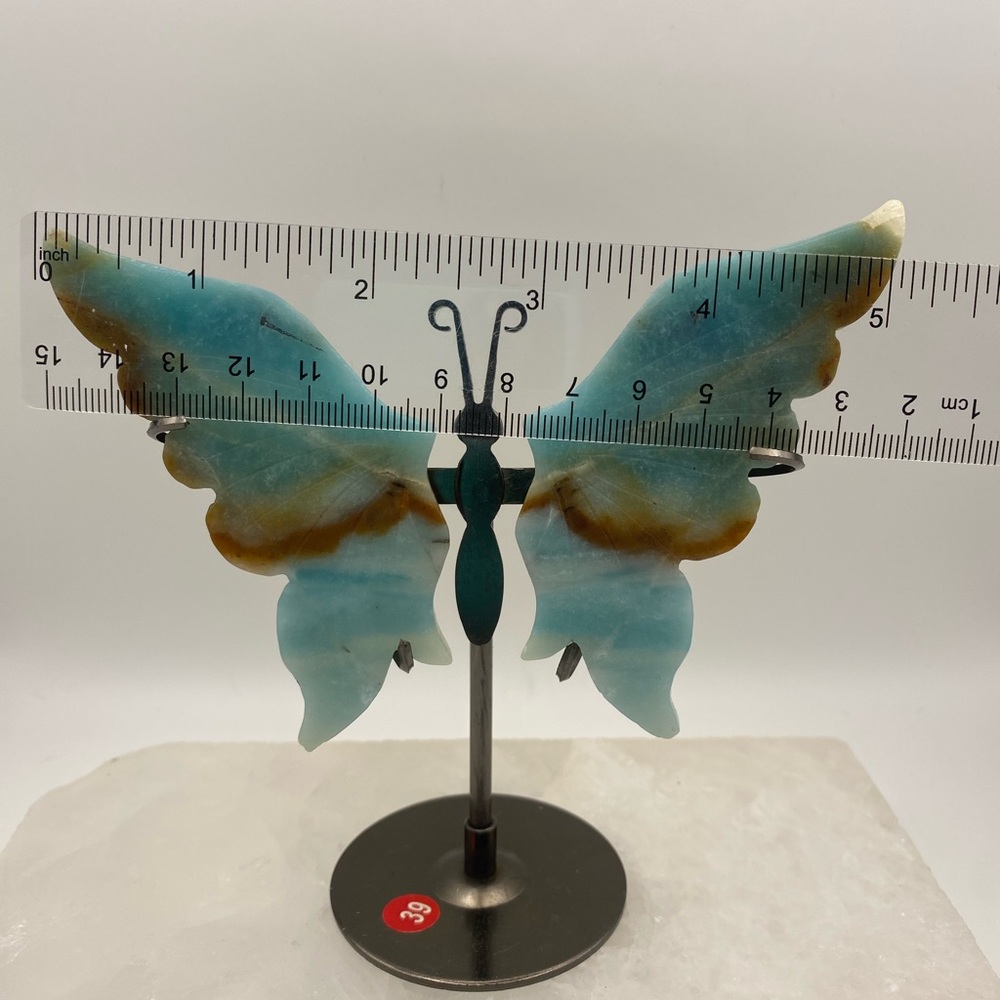 Hemimorphite Butterfly Wings with Stand - Picture 4 of 4